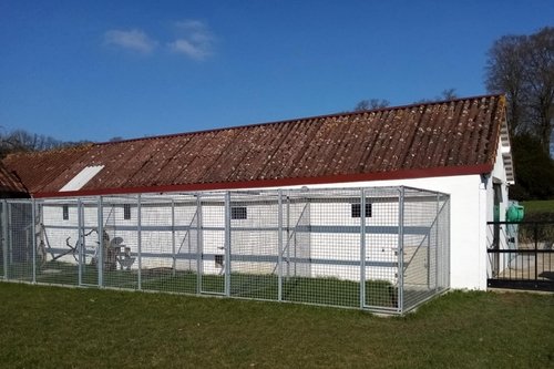 Pension extérieur chat