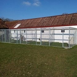 Pension chats dans le pas de calais 